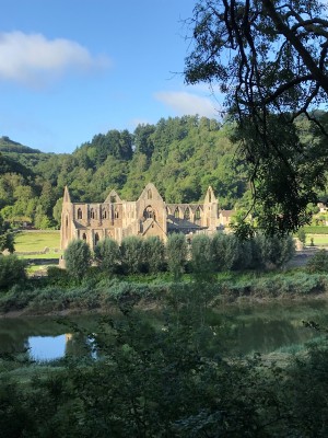 Tintern Abbey from Cycle Path