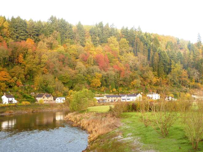 Tintern Autumn 2010