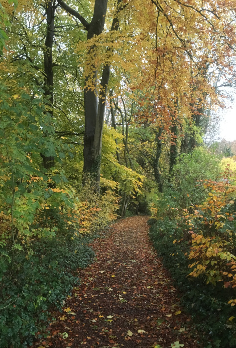 Autumn colours near Chepstow