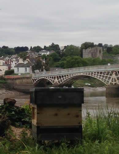 Bee Hives by the River at Chepstow, with Bridge & Castle in background.
