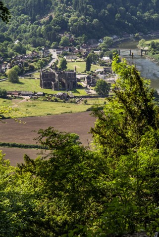 View of Tintern Abbey from The Devil's Pulpit