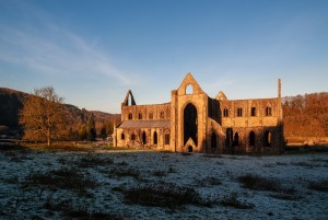 Tintern Abbey in Winter Sun (Chris Bryant)