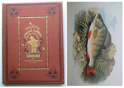 British Fresh-Water Fishes by Rev. W. Houghton