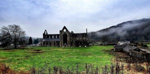 Tintern Abbey (Matthew Stinson)