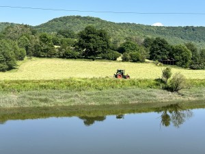Making Hay Opposite the Shop