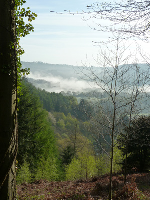 Mist in the Wye Valley