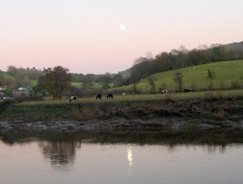 Moon and Horses at Tintern