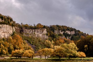 Laucaut Nature Reserve - looking toward Chepstow