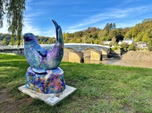 Sammy the Seal - Arts Festival