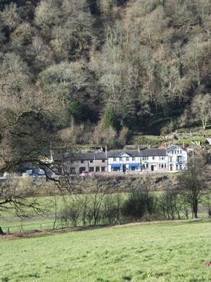 View across fields towards Stella Books