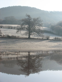 River Wye with Tree reflection