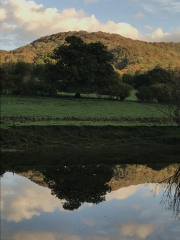 Reflections on the Wye from Stella Books