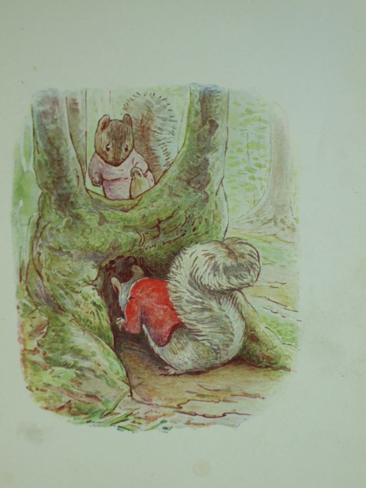 Photo of THE TALE OF TIMMY TIPTOES written by Potter, Beatrix illustrated by Potter, Beatrix published by Frederick Warne & Co. (STOCK CODE: 1108307)  for sale by Stella & Rose's Books