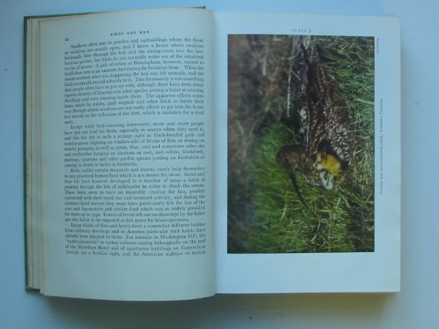 Photo of BIRDS AND MEN (NN 17) written by Nicholson, E.M. published by Collins (STOCK CODE: 1202469)  for sale by Stella & Rose's Books