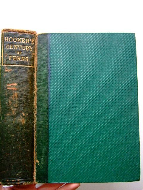 Photo of A CENTURY OF FERNS written by Hooker, William Jackson published by William Pamplin (STOCK CODE: 1203352)  for sale by Stella & Rose's Books