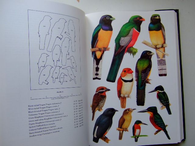 Photo of BIRDS OF SURINAME written by Haverschmidt, F.
Mees, G.F. illustrated by Barruel, Paul
Van Noortwijk, Inge published by Vaco (STOCK CODE: 1204194)  for sale by Stella & Rose's Books