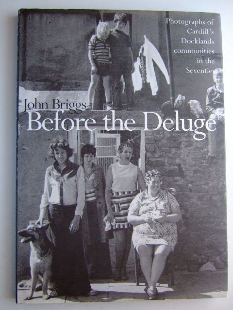 Photo of BEFORE THE DELUGE written by Briggs, John published by Seren (STOCK CODE: 1204655)  for sale by Stella & Rose's Books