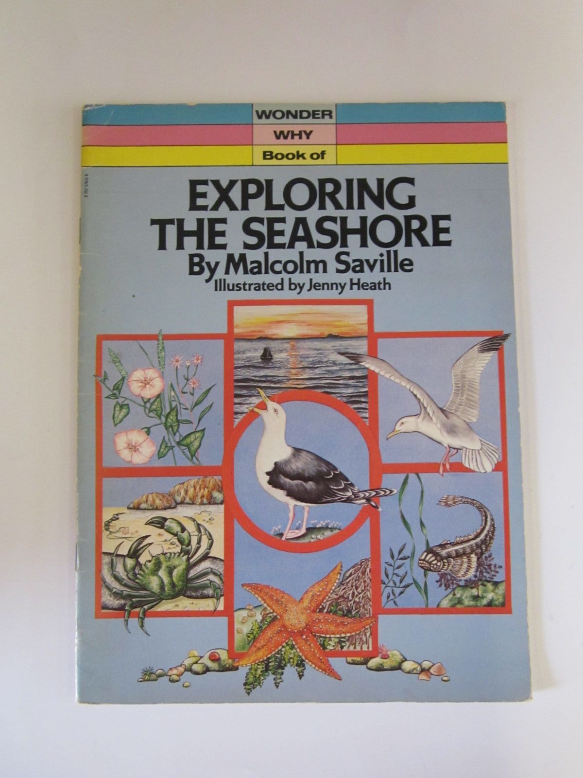 Photo of WONDER WHY BOOK OF EXPLORING THE SEASHORE written by Saville, Malcolm published by Transworld Publishers Ltd. (STOCK CODE: 1206725)  for sale by Stella & Rose's Books