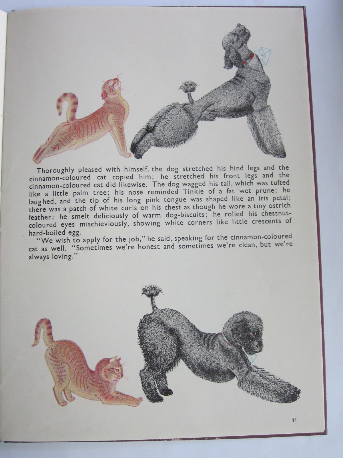 Stella & Rose's Books ORLANDO (THE MARMALADE CAT) KEEPS A DOG Written