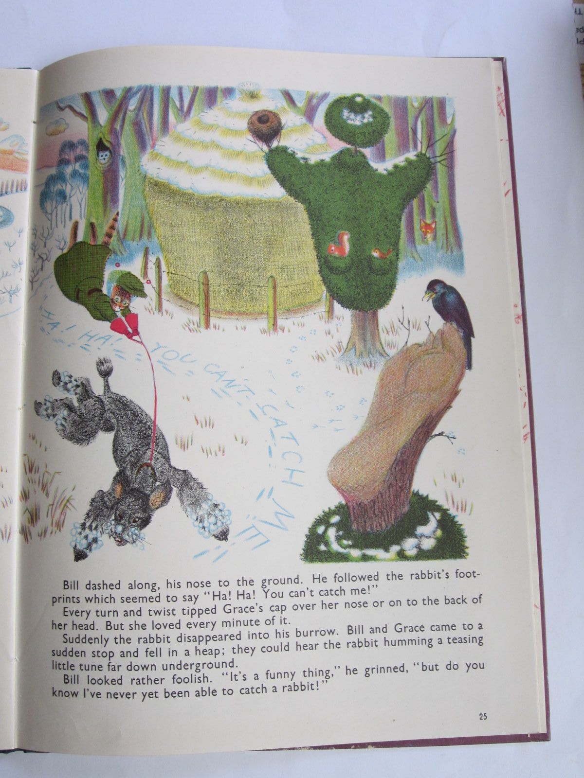 Stella & Rose's Books ORLANDO (THE MARMALADE CAT) KEEPS A DOG Written