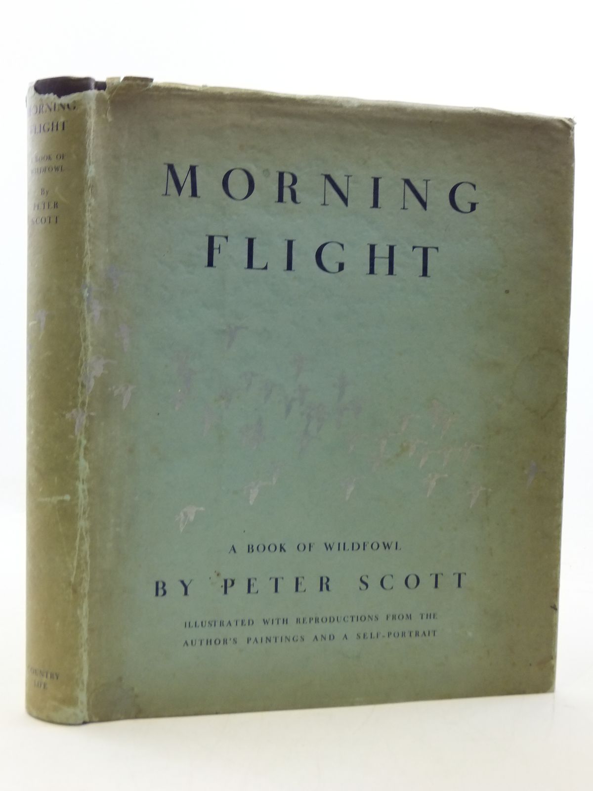 Photo of MORNING FLIGHT A BOOK OF WILDFOWL written by Scott, Peter illustrated by Scott, Peter published by Country Life Limited (STOCK CODE: 1207782)  for sale by Stella & Rose's Books