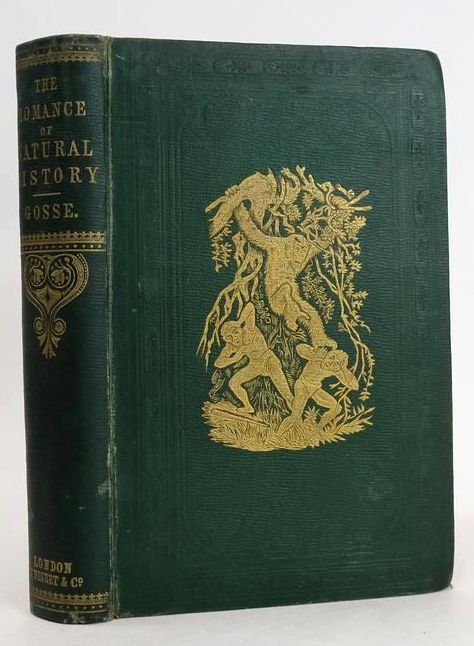 Photo of THE ROMANCE OF NATURAL HISTORY written by Gosse, Philip Henry illustrated by Gosse, Philip Henry Whymper, Mrs. J.W. published by James Nisbet &amp; Co. (STOCK CODE: 1208914)  for sale by Stella & Rose's Books