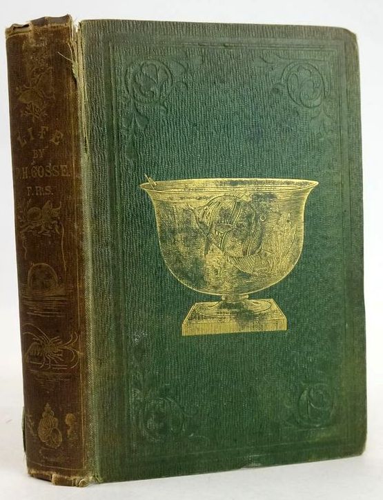 Photo of LIFE IN ITS LOWER, INTERMEDIATE, AND HIGHER FORMS written by Gosse, Philip Henry published by James Nisbet &amp; Co. (STOCK CODE: 1208915)  for sale by Stella & Rose's Books