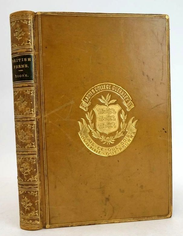 Photo of BRITISH FERNS AND THEIR ALLIES- Stock Number: 1208919