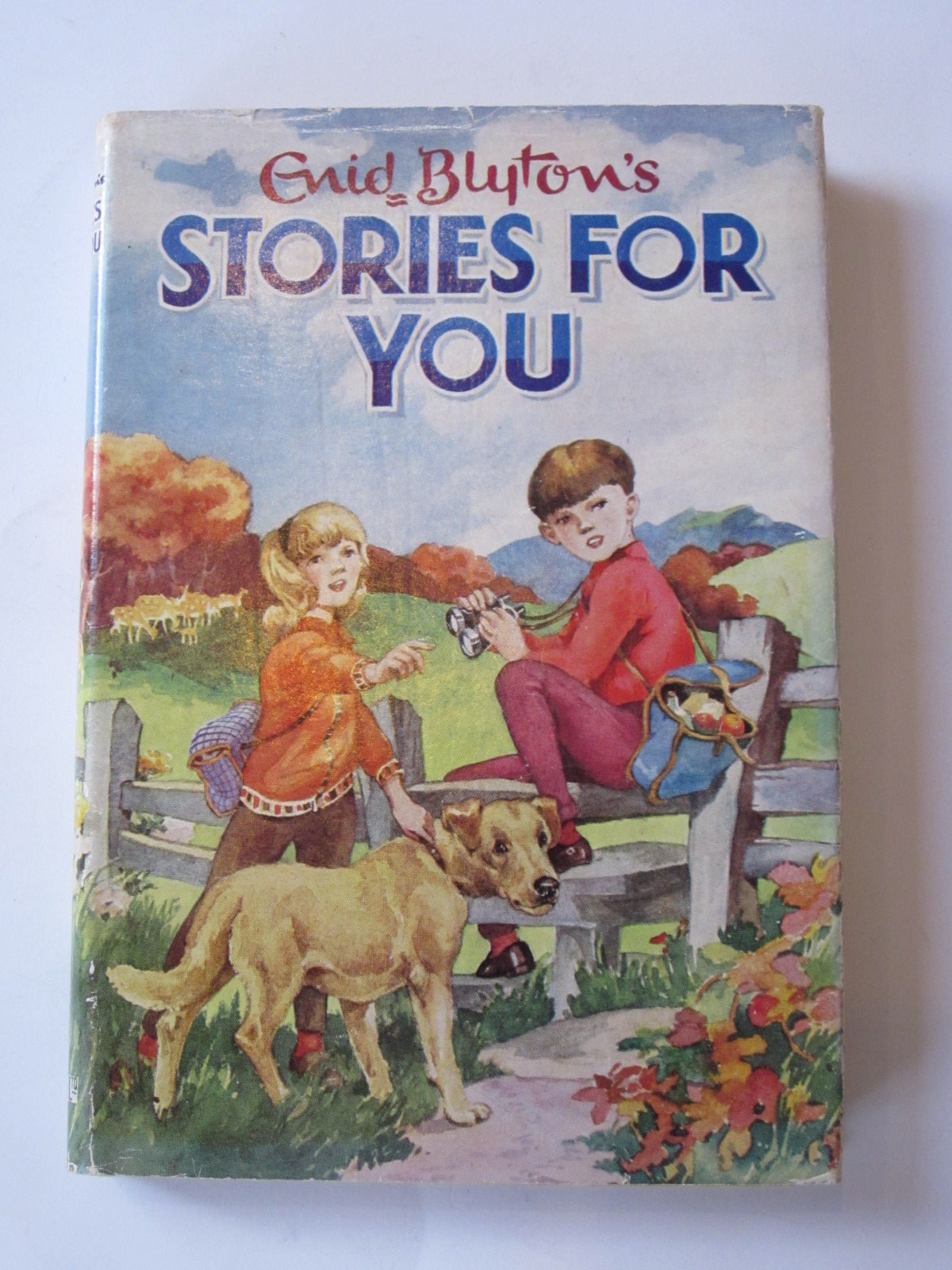 Photo of STORIES FOR YOU- Stock Number: 1308251