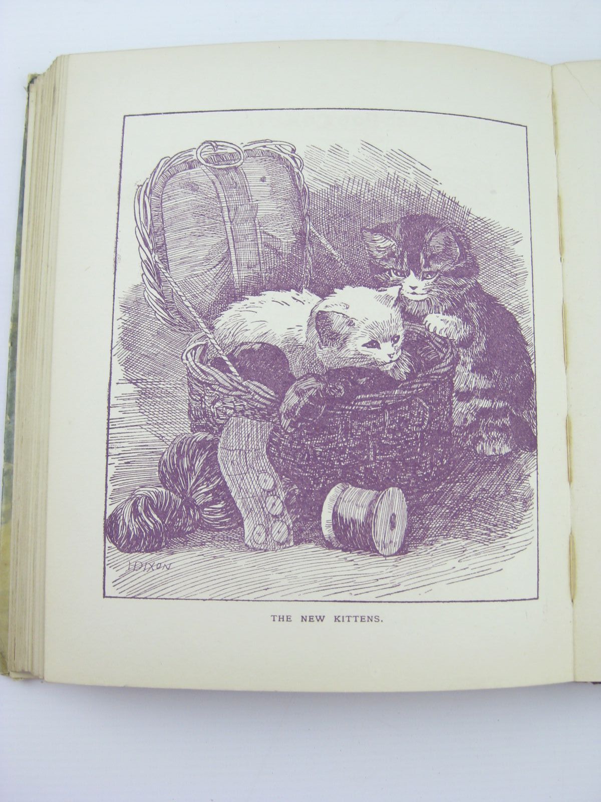 Photo of THE ROSEBUD ANNUAL 1916 written by Blomfield, Elsie
Talbot, Ethel
et al,  illustrated by Wain, Louis
Buchanan, N.
et al.,  published by James Clarke & Co. (STOCK CODE: 1310493)  for sale by Stella & Rose's Books