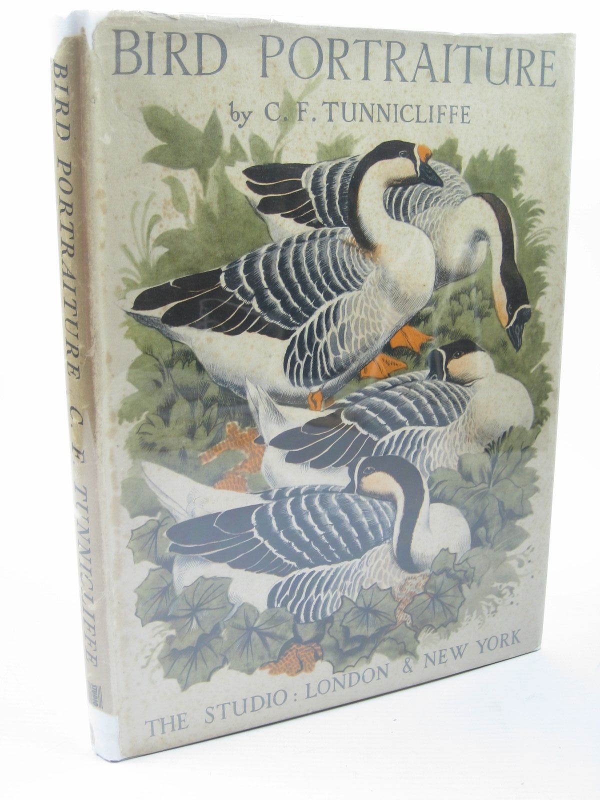 Stella & Rose's Books