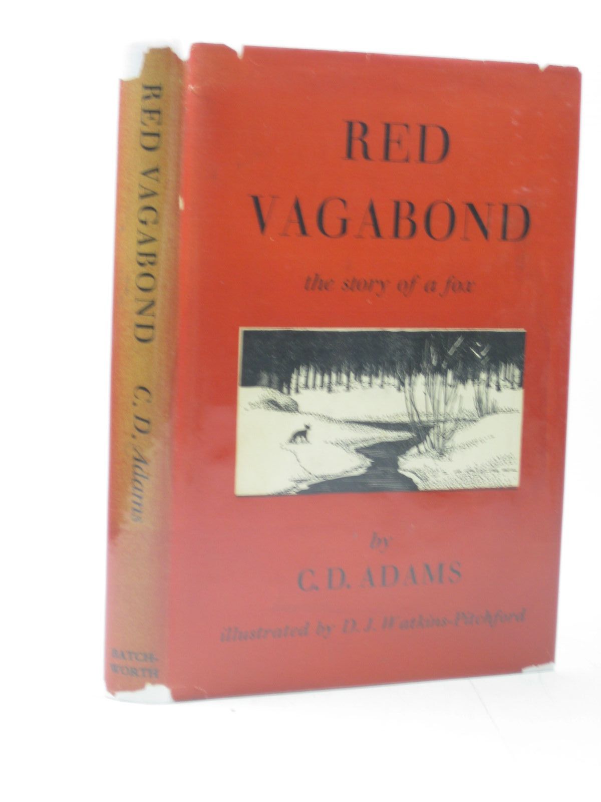 Photo of RED VAGABOND- Stock Number: 1312992