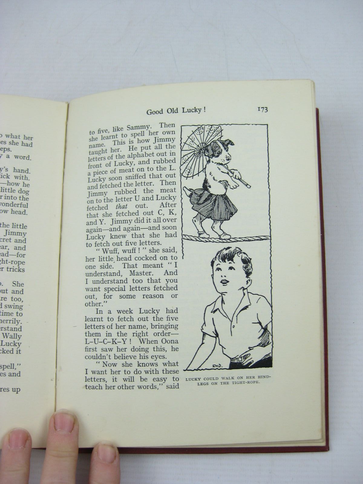 Photo of MR. GALLIANO'S CIRCUS written by Blyton, Enid illustrated by Davie, E.H. published by George Newnes Ltd. (STOCK CODE: 1313996)  for sale by Stella & Rose's Books