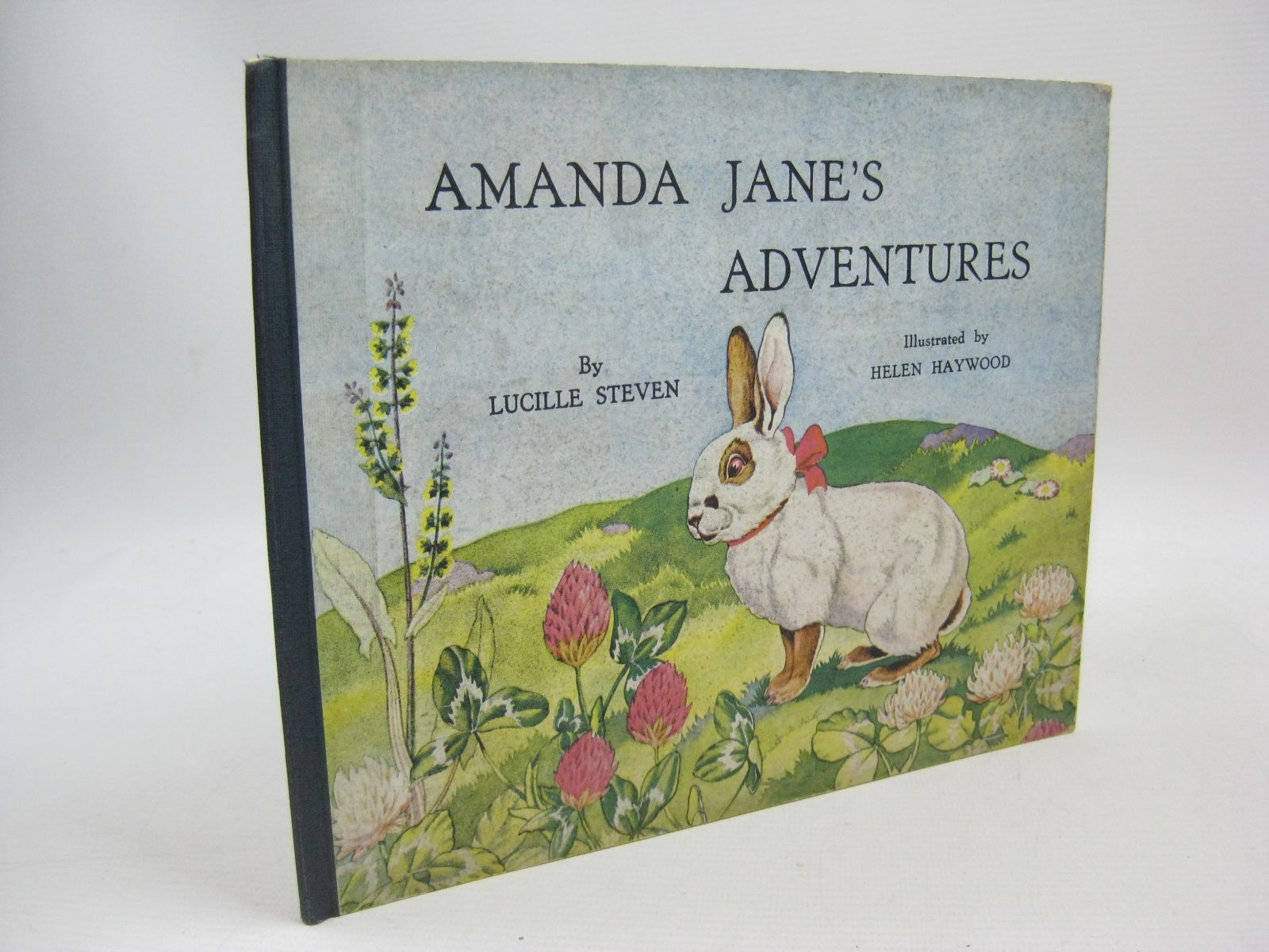 Photo of AMANDA JANE'S ADVENTURES written by Steven, Lucille illustrated by Haywood, Helen published by Art And Educational Publishers Ltd. (STOCK CODE: 1315434)  for sale by Stella & Rose's Books