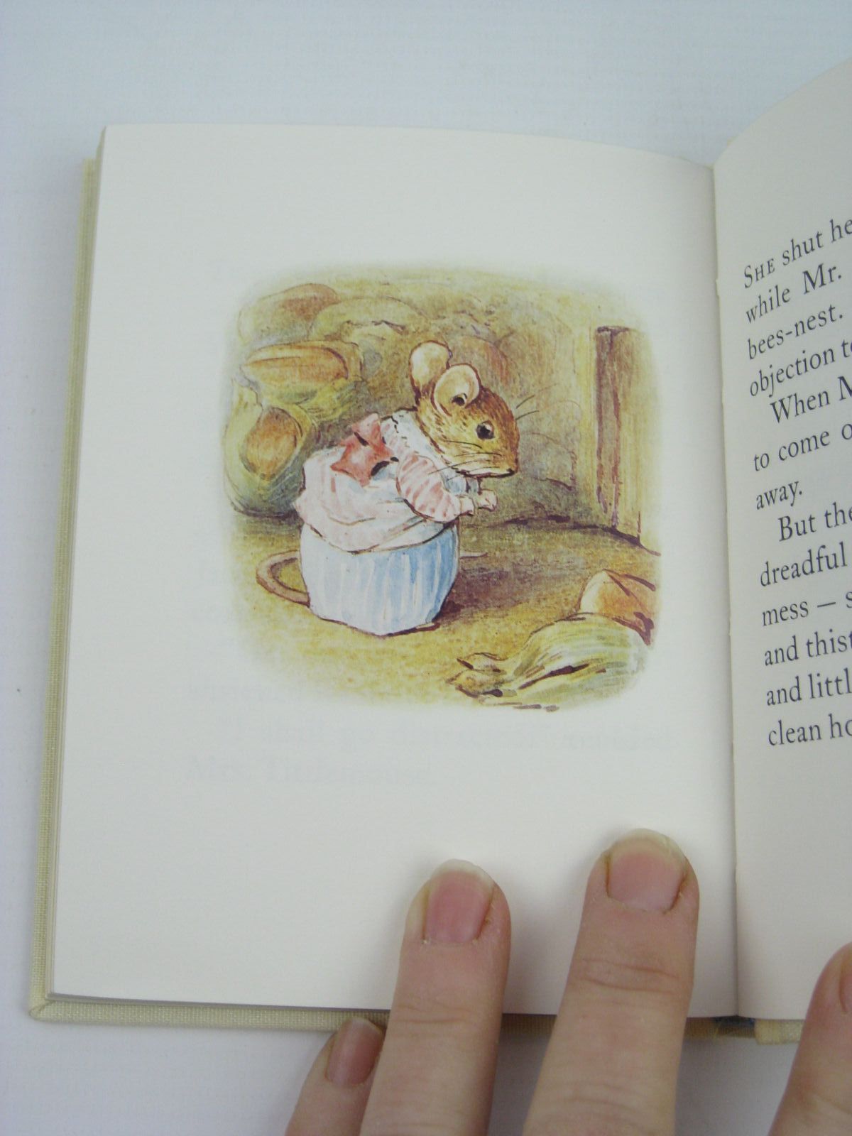 Photo of THE TALE OF MRS. TITTLEMOUSE written by Potter, Beatrix illustrated by Potter, Beatrix published by Frederick Warne, The Penguin Group (STOCK CODE: 1316329)  for sale by Stella & Rose's Books