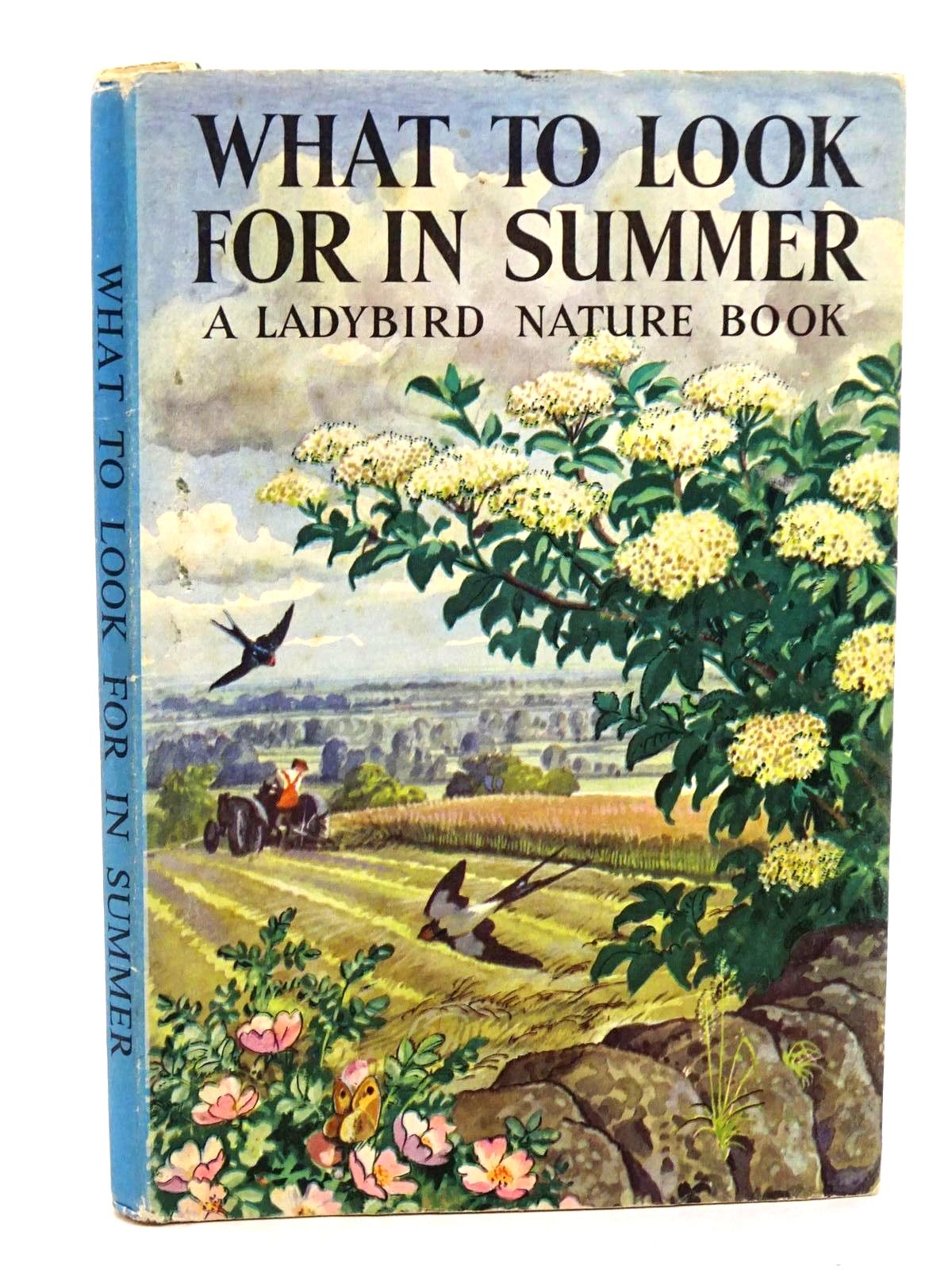 What To Look For In Summer