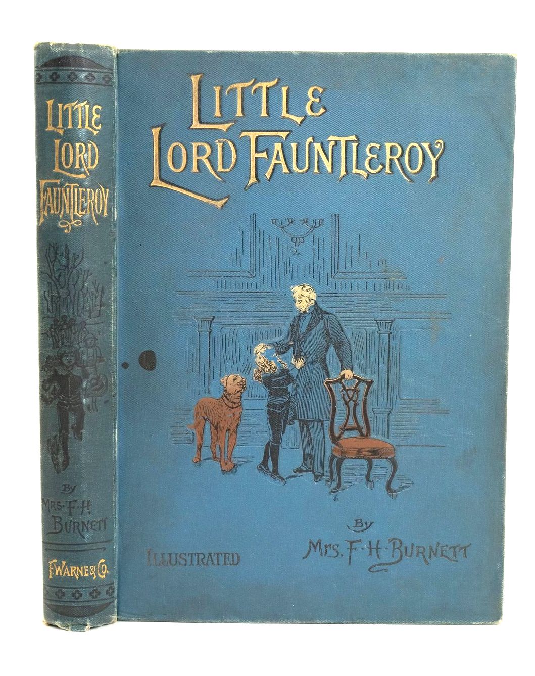 Photo of LITTLE LORD FAUNTLEROY- Stock Number: 1318803