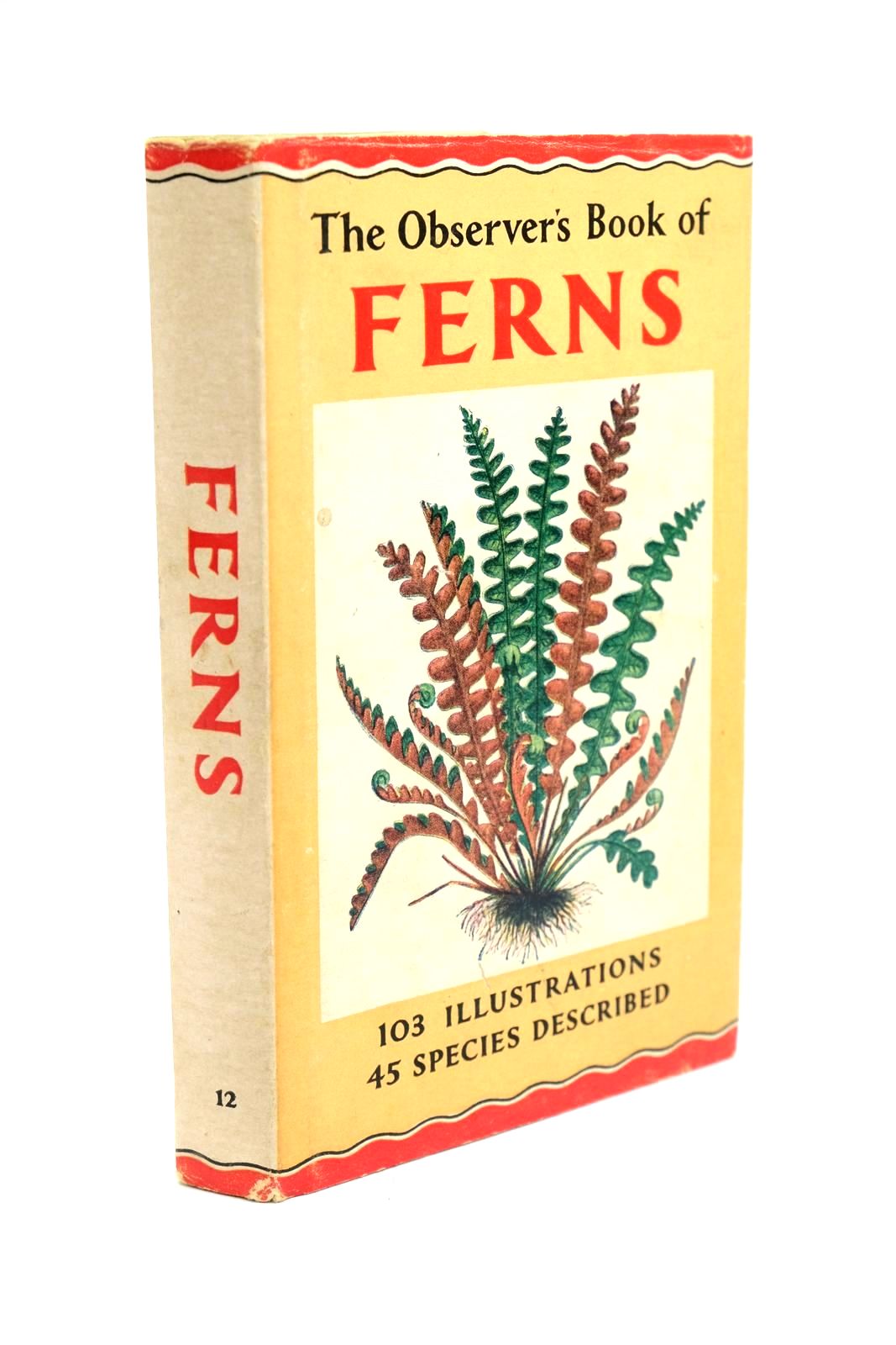 Photo of THE OBSERVER'S BOOK OF FERNS- Stock Number: 1321421