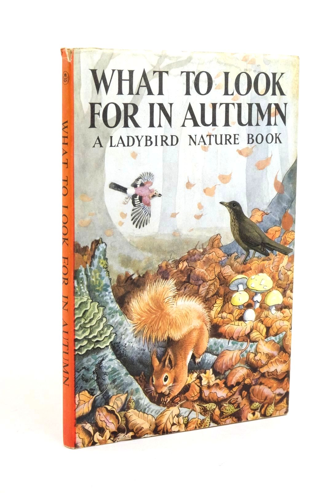 Photo of WHAT TO LOOK FOR IN AUTUMN- Stock Number: 1322138