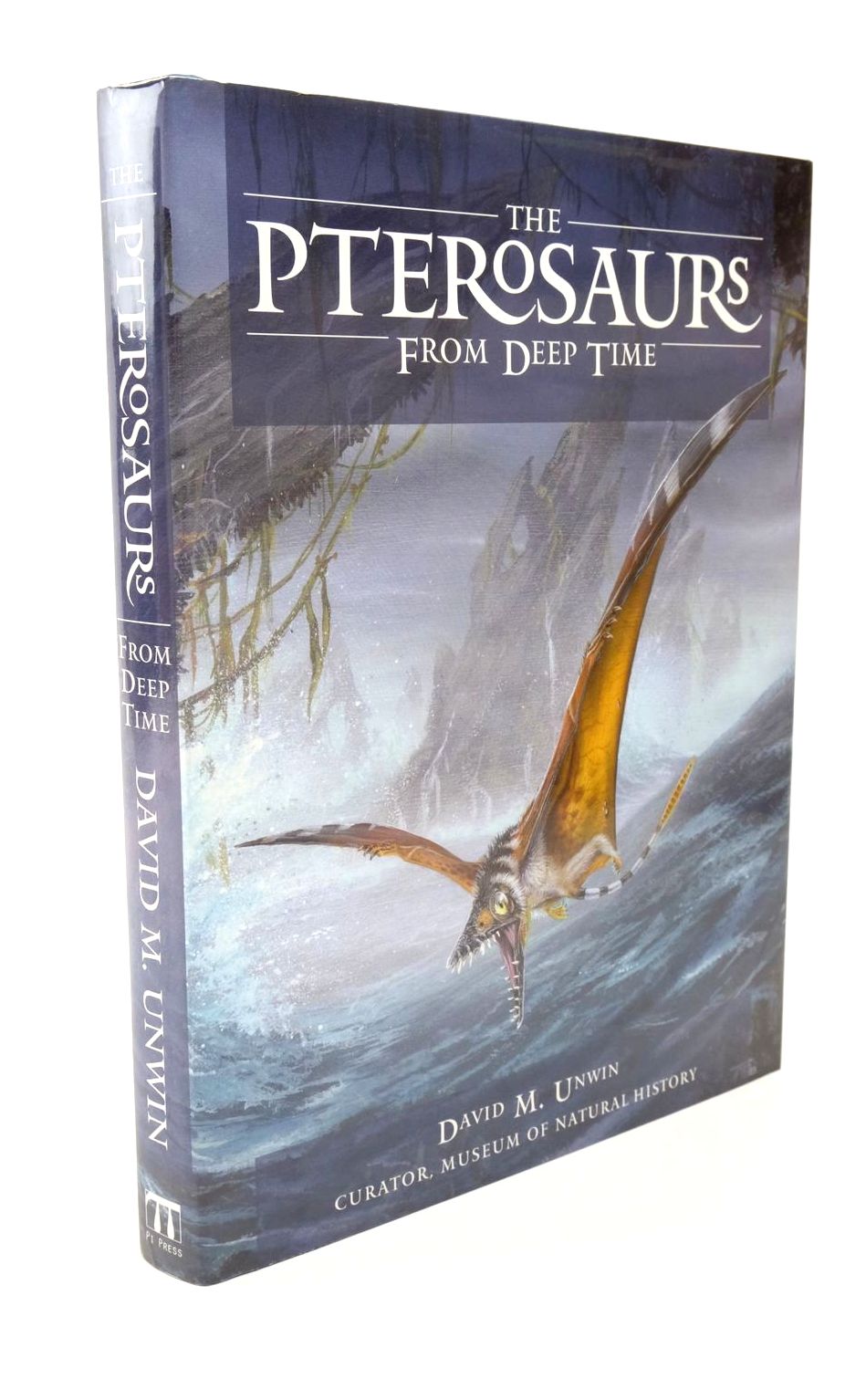 Photo of THE PTEROSAURS FROM DEEP TIME- Stock Number: 1322616