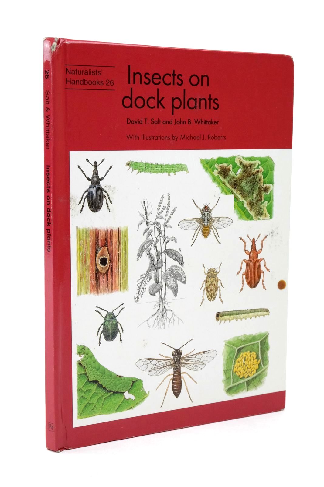 Photo of INSECTS OF DOCK PLANTS- Stock Number: 1322624