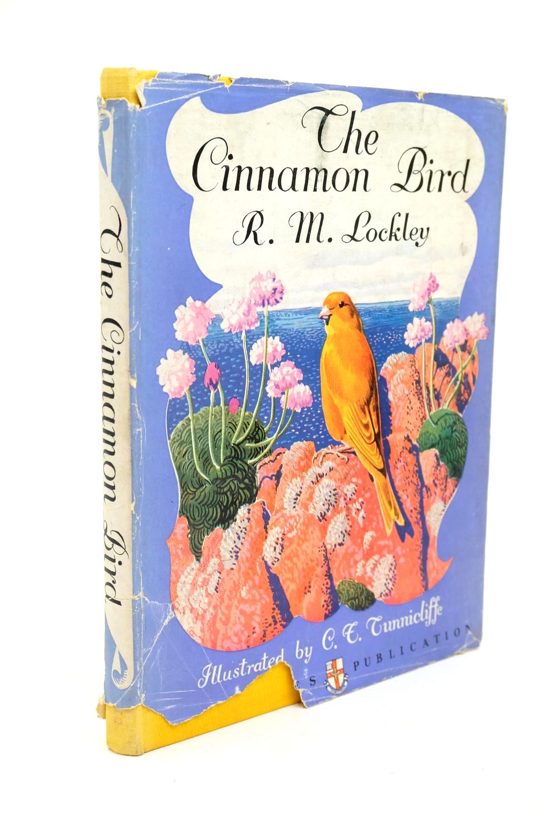 Photo of THE CINNAMON BIRD- Stock Number: 1322921