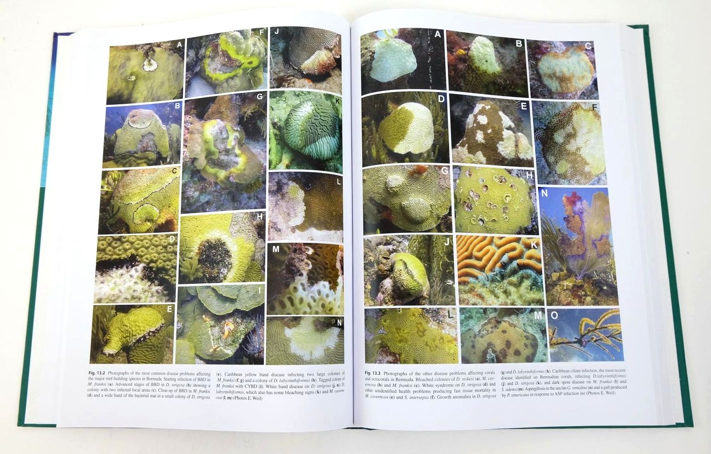 Photo of CORAL REEFS OF THE UNITED KINGDOM OVERSEAS TERRITORY written by Sheppard, Charles R.C. published by Springer (STOCK CODE: 1323041)  for sale by Stella & Rose's Books