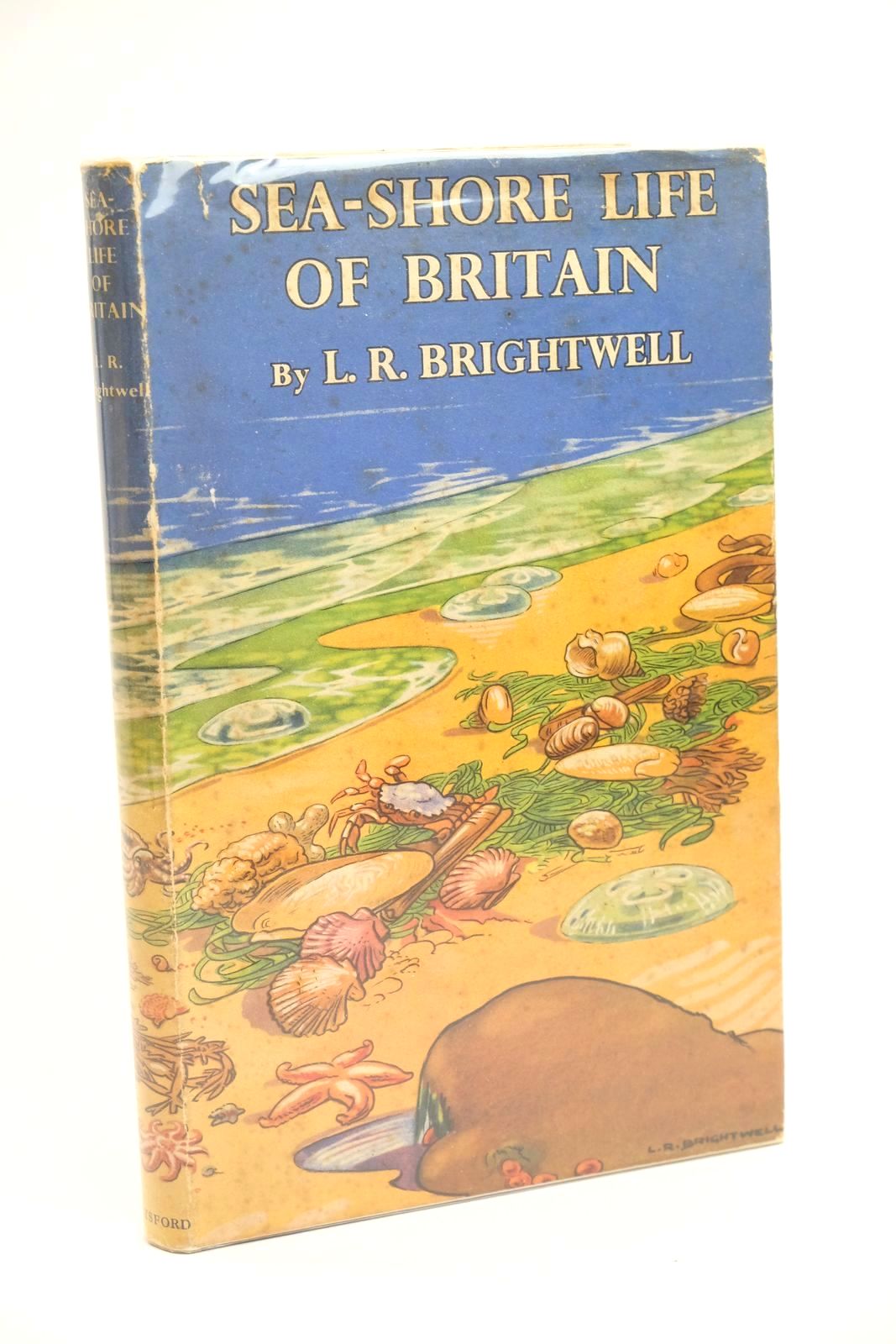 Photo of SEA-SHORE LIFE OF BRITAIN written by Brightwell, L.R. published by B.T. Batsford Ltd. (STOCK CODE: 1323181)  for sale by Stella & Rose's Books