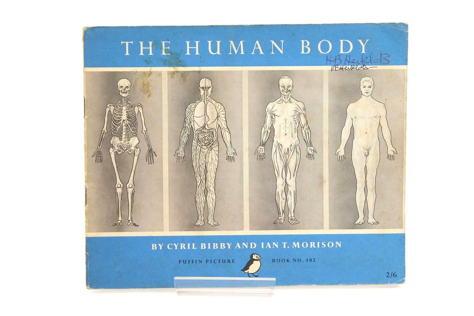 Photo of THE HUMAN BODY- Stock Number: 1323604