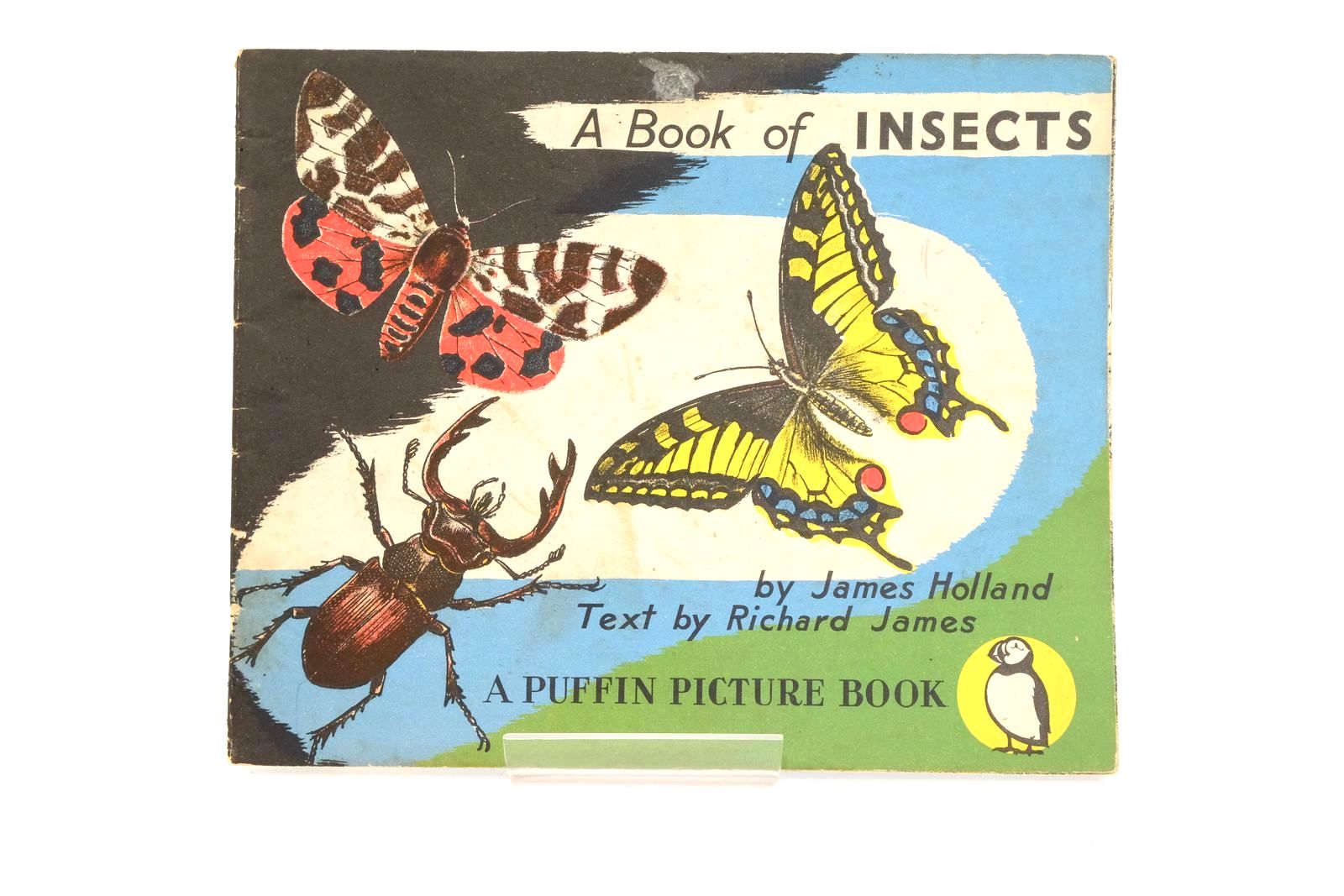 Photo of A BOOK OF INSECTS- Stock Number: 1323793