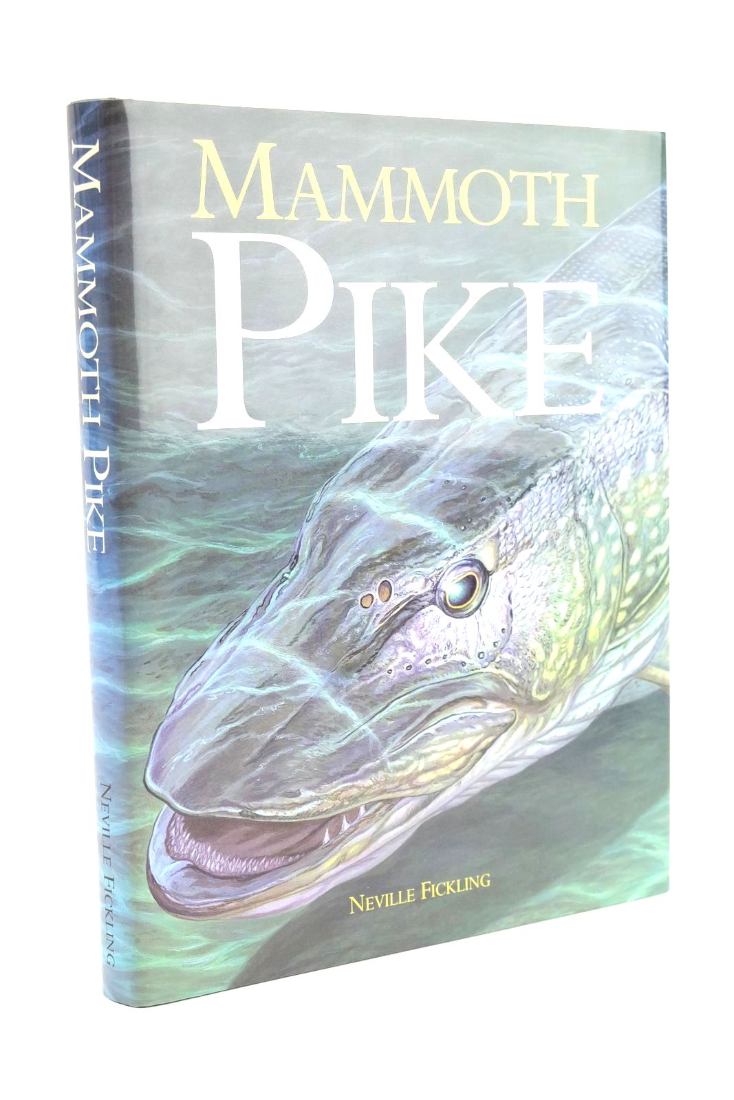Photo of MAMMOTH PIKE- Stock Number: 1323836
