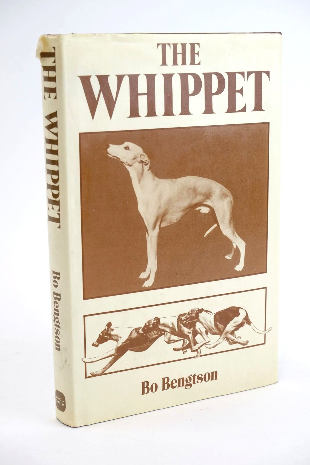 Photo of THE WHIPPET written by Bengtson, Bo published by David & Charles (STOCK CODE: 1324005)  for sale by Stella & Rose's Books