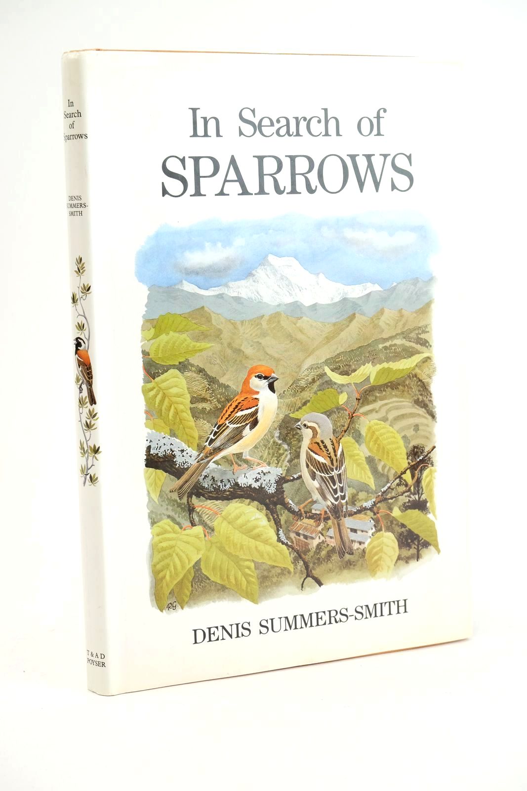 Photo of IN SEARCH OF SPARROWS written by Summers-Smith, J.D. illustrated by Dunn, Euan published by T. &amp; A.D. Poyser (STOCK CODE: 1324018)  for sale by Stella & Rose's Books