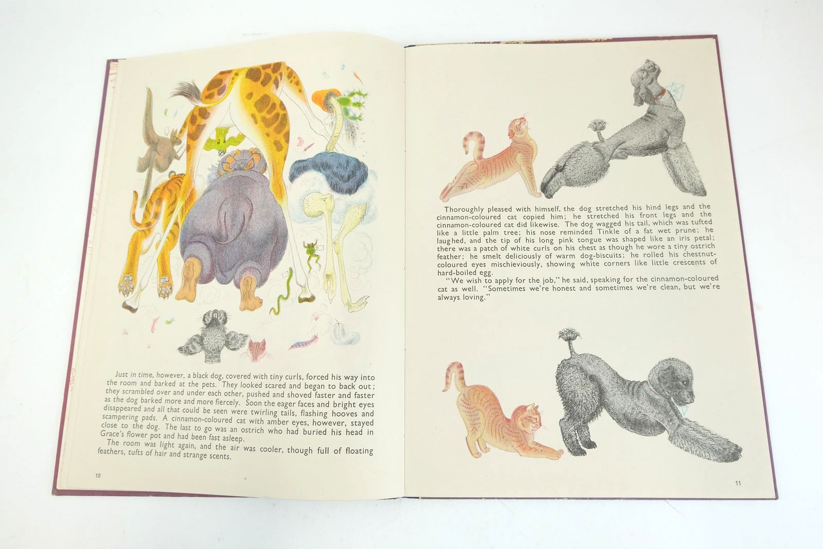 Photo of ORLANDO (THE MARMALADE CAT) KEEPS A DOG written by Hale, Kathleen illustrated by Hale, Kathleen published by Country Life (STOCK CODE: 1325735)  for sale by Stella & Rose's Books